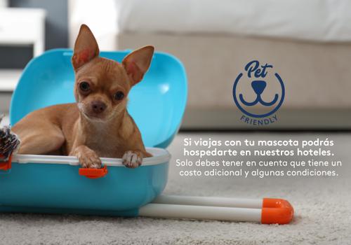 Admite mascotas Hotel ESTELAR Blue Medellín