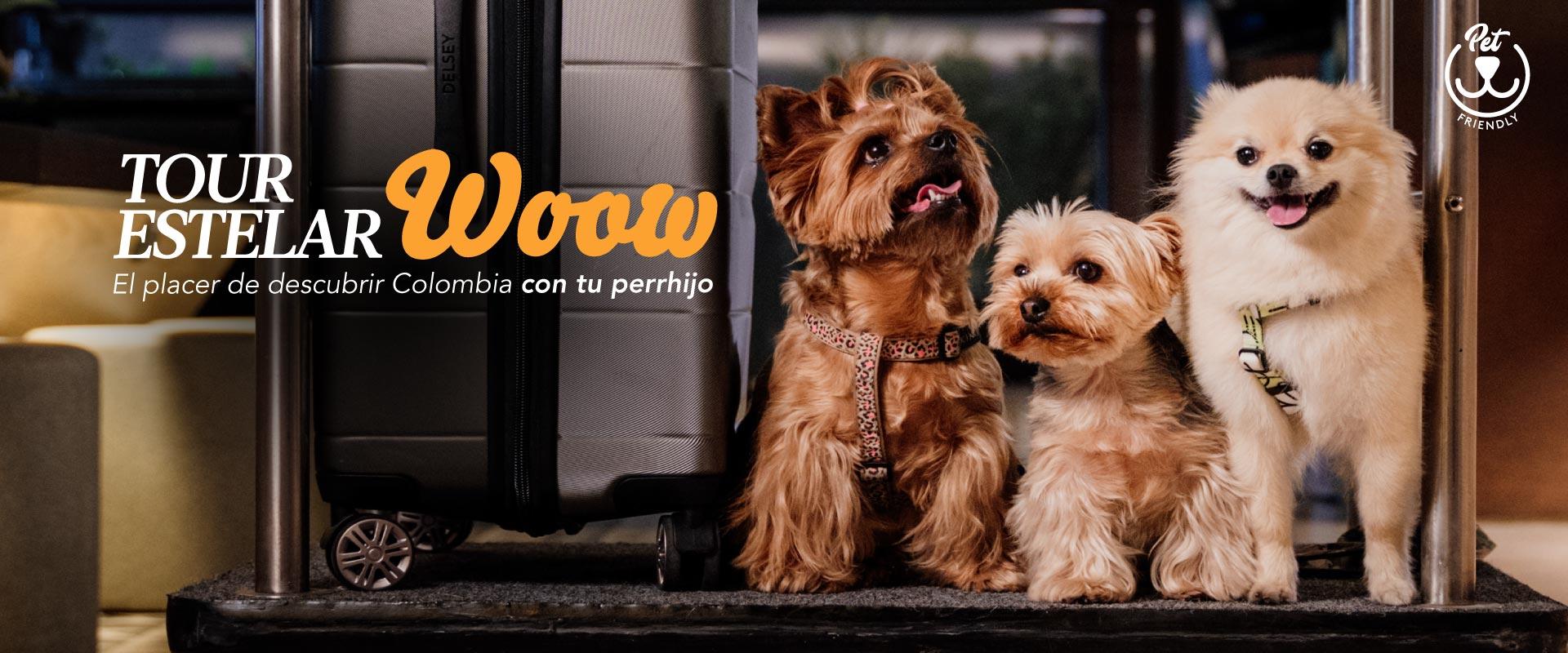 ESTELAR Blue Colombia - Medellín   ESTELAR Blue Colombia - Medellín